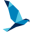 SATA Air Acores